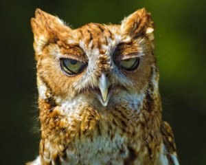 travail horaire décalé luminothérapie